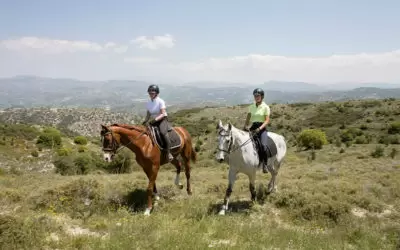 Equestrian Centre