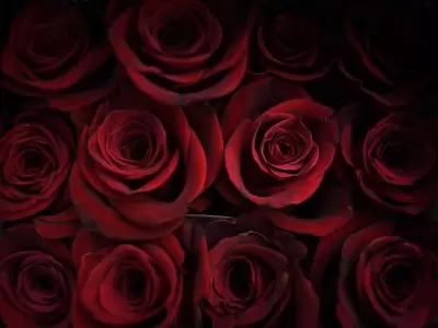 VALENTINE’S THE MINTHIS EDITION