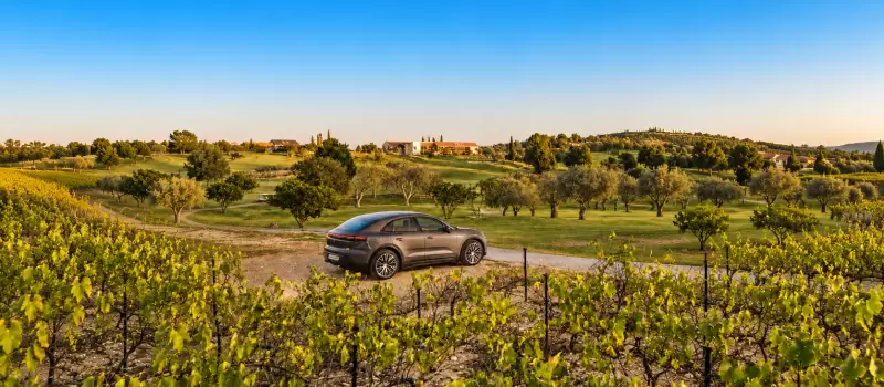 A porsche parked within a vineyard in Cyprus