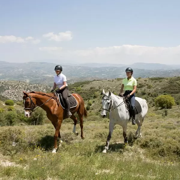 20170425_Minthis_STILLS_CARD-05_194-1