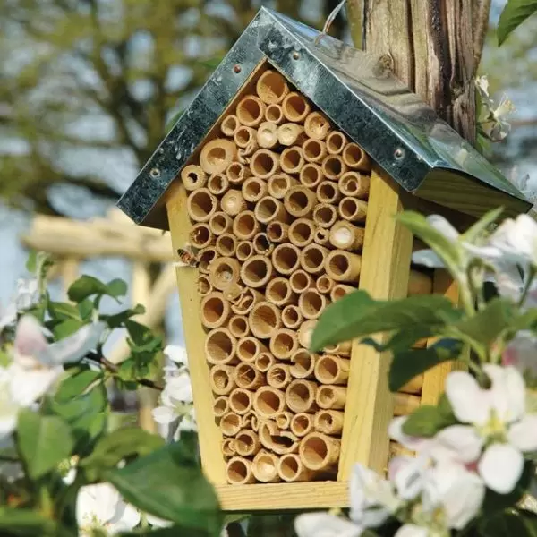 A man-made bee hotel at Minthis Resort in Paphos