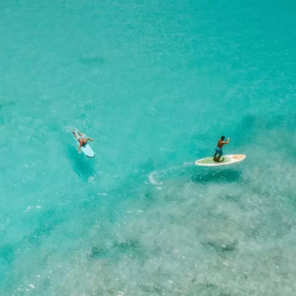 Two SUP surfers glide across the Mediterranean Sea in Paphos, Cyprus